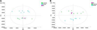 A Comprehensive Analysis of Metabolomics and Transcriptomics Reveals Novel Biomarkers and Mechanistic Insights on Lorlatinib Crosses the Blood-Brain Barrier